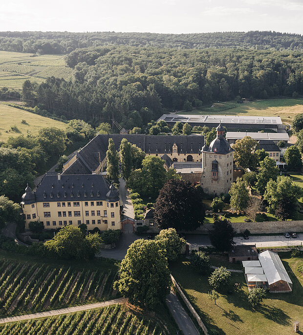 Schloss_Vollrads_Dohnenbild_Öffnungszeiten Schloss_Vollrads_Dohnenbild_Öffnungszeiten